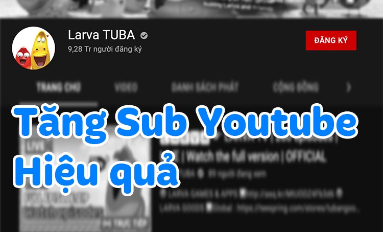 Tăng Sub Youtube