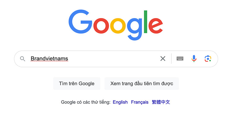 Google vẫn là công cụ tìm kiếm phổ biến